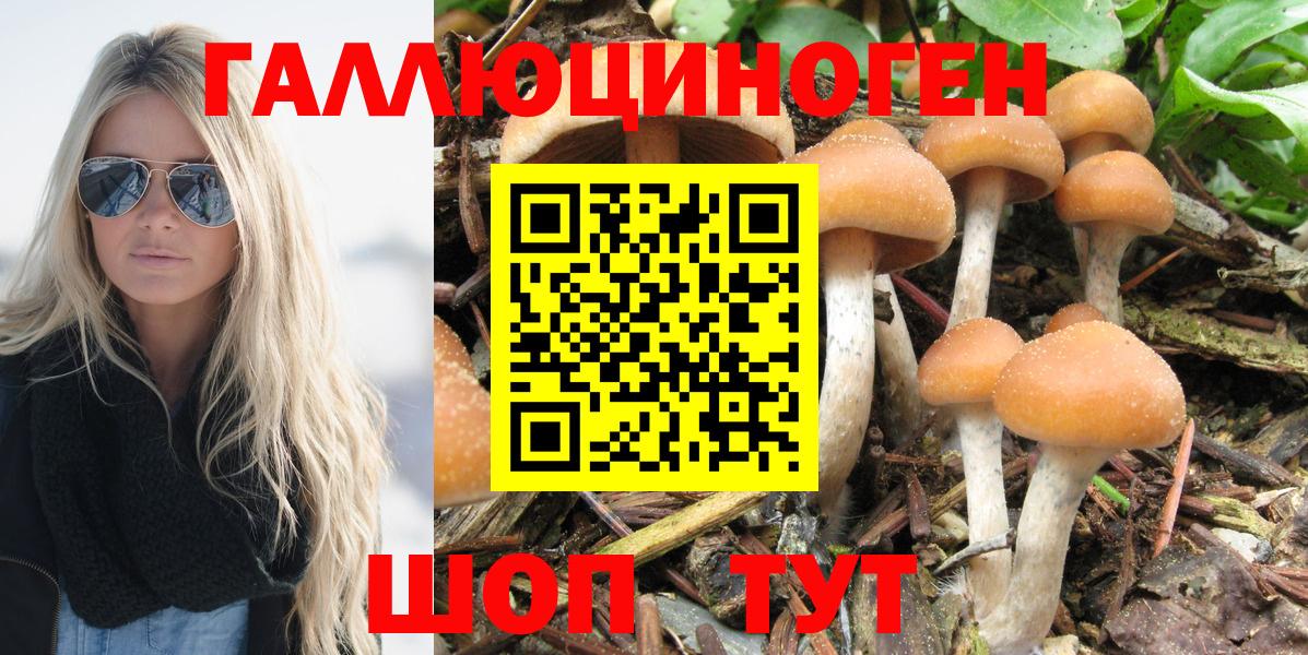 Галлюциногенные грибы Psilocybine cubensis  Вход с VPN  Кемерово 